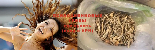 ECSTASY Алексин