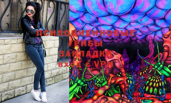 хмурый Покровск