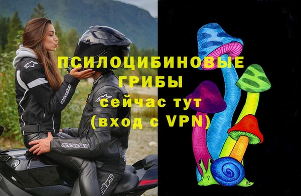 mdpv Покачи