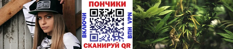 Каннабис сатива  Глазов 